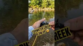 The Most Insane Topwater Explosion Caught On Camera