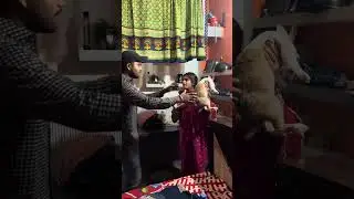 Meri Wife Aur Khargosh Ka Jung! 😳🐇#vlog -88 #minivlog #lifestyle #trendingshorts