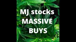 MJ stocks being BOUGHT