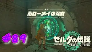 ローメイ島の謎：其の五：ゼルダの伝説ティアーズオブザキングダム #89