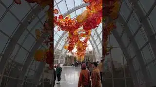 Hand blown glass museum #glassart #museum #seattle