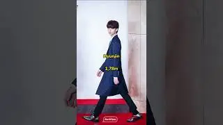 Cuanto miden los integrantes de Stray kids #viral #idols #skz