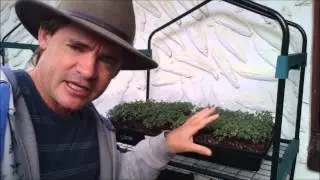 Micro Farming in the Suburbs in Australia with Marty Ware