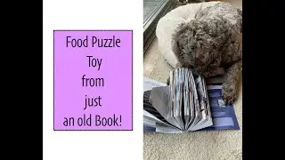 DIY Enrichment Dog Toy using an Old Book! Food Puzzle Brain Game