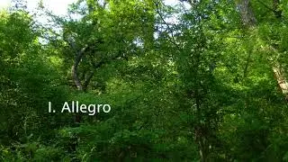 Mozart Symphony 5 (For Solo Piano) - Faith's Music