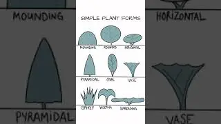 How to Draw A Garden Plan