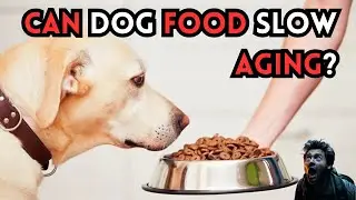 CAN DOG FOOD SLOW DOWN AGING?🐾 DISCOVER THE TRUTH!