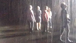 Rain Room | LACMA