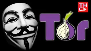 Does The U.S. Government Control Tor?(Dark Web)