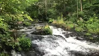 Zabriskie's Waterfall at Annandale-On-Hudson in New York state