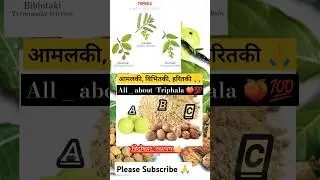 Triphala #triphala churna _ benifits #ayurvedic #medicine👇👇#ayurveda #bams #shorts