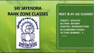 NEET | BIOLOGY | BOTANY | REPRODUCTION IN FLOWERING PLANTS | LECTURE 3
