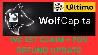 WOLF CAPITAL 1ST WEEKLY PAYOUT + PGV REFUND UPDATE