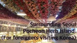 Visiting Pocheon Herb Island(For foreigners visiting Korea)