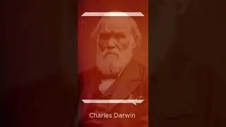 best Quotes of Charles Darwin | Wisdom from the Father of Evolution