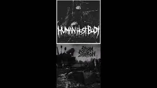 [2017] Human Host Body / Storm of Sedition - Human Host Body / Storm of Sedition (Full Split)