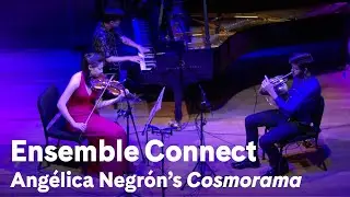 Ensemble Connect Performs Angélica Negrón's “Cosmorama”