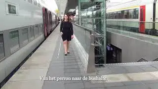 Internationale dag van de witte stok