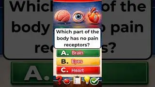 Which Body Part Feels No Pain?  #healthquiz #quiz #trivia #shorts