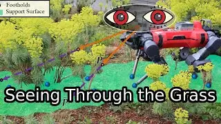 Seeing Through the Grass - RA-L 2023