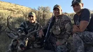 High Desert Mule Deer