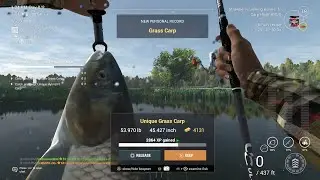 Fishing Planet-Weeping Willow-Doing The Stomach Ground Bait Mission On A Late Evening Stream-NC