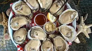 Shells Seafood - 