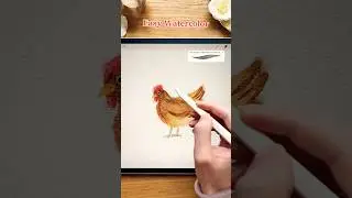 Easy Watercolor: Let&rsquo;s Draw a Chicken 🐓 Realistic Watercolor in Procreate #procreate #watercolor