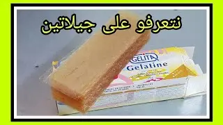 What Is Pastry Gelatin? Myths and Facts: Essential Knowledge for Beginners and Beyond