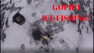 Ice Fishing With a Gopro! Tons of Bass, Crappie, and Bluegill!
