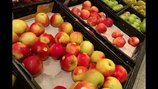 Brandenburger Apfelernte &uuml;bertrifft Prognosen deutlich