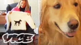 Making Dog Hair Sweaters