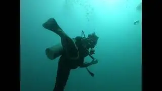 luck day dive with leopard whipray at mabul house reef 2023