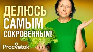 ОТВРАТИТЕЛЬНО ГОРЬКИЙ! Главное фиаско года, а также приятные открытия среди цветов и овощей
