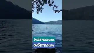 W&ocirc;btegwak: How to say Geese indigenous Abenaki Language translation💙#abenaki #languageback #wabanaki