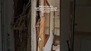 Why a Building & Pest Inspection? #homeinspection #termiteinspection #termitemanagement #goldcoast