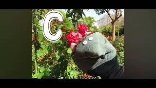Ёжик Боря, весёлая карусель-6 часть.