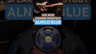 Vox AC30 Speaker Shootout No.5 #guitar #stratocaster #voxamps