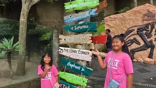 Bali Zoo 2025