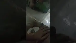 Pakamot si Pawi | RhaineTV