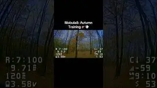 Mobula8 Autumn Training 🚁💨 #fpv #fpvdrone #tinywhoop #mobula8 #fpvfreestyle #fpvbeginner #shorts