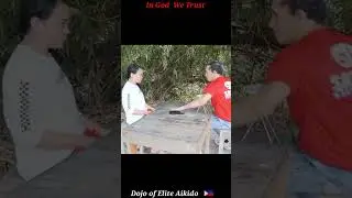Lover's Quarrel Gone Wrong #aikido #selfdefense #viral #viralvideo #viralshorts  #fyp #fypシ #shorts
