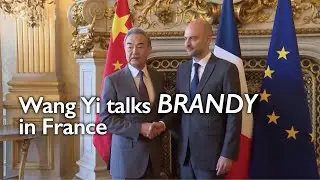 Wang Yi addresses on China-EU cognac spat during his visit to France