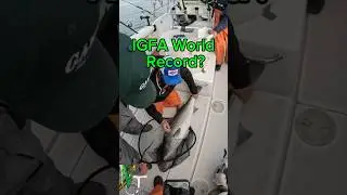 W pogoni za rekordem świata w łowieniu okoni paskowanych. IGFA C&R #wędkarstwo #bas #zł&oacute;wiwypuszc...