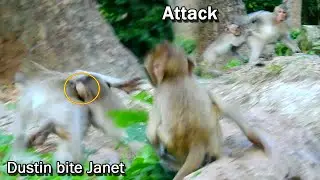 OMG! Janet get attack&biting by Orphan baby Dustin, Dustin is biting Janet by angry,Janet deep scare