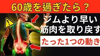 60歳を過ぎたら？外科医が明かす、ジムより早く筋肉を取り戻す「たった1つの動き」｜シニア向け健康アドバイス