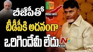 CM Chabdrababu Naidu Sensational Comments on BJP || AP Special Status || NTV