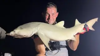 Рыбалка на Флорида-Кис &mdash; Береговая рыбалка в океане &mdash; ТАК МНОГО РЫБЫ!!!! | The Fish Locker