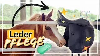 Aus ALT mach NEU ✨ Sattel/ Leder Pflege I ACIBALD