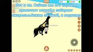 🫐✨Как пройти новый квест с ожерельем в конной долине? Ответ тут!✨🫐